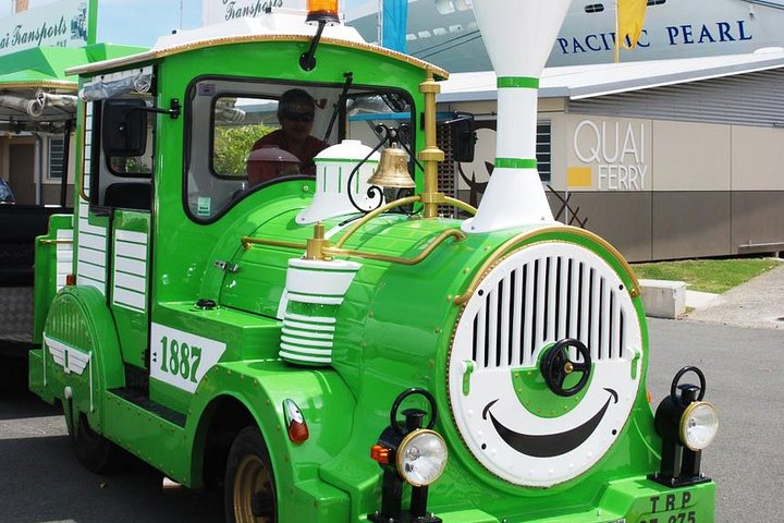 Local Green Train - LYVAI - Bokk with our local company / Cheaper than on the Cruise ship and twice the fun !